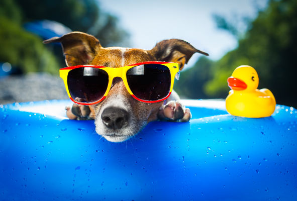 Sunwear is Good Eye Health Care:  Six reasons you should wear sunglasses more often.