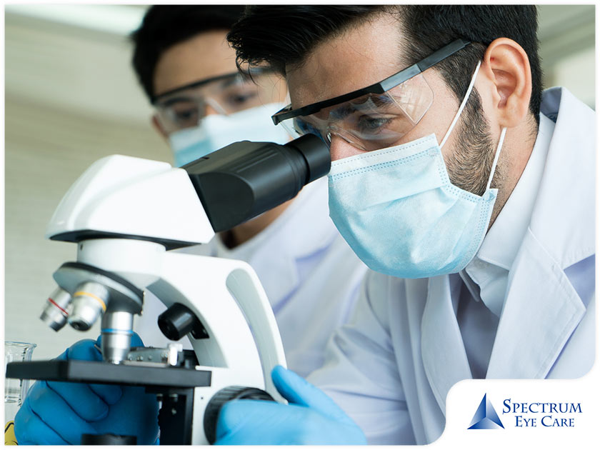 What Can Employers Do to Promote Workplace Eye Wellness?